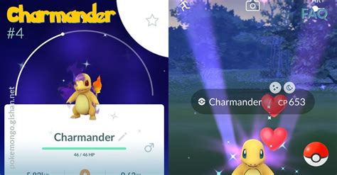 charmander best nature|pokemon go charmander location.
